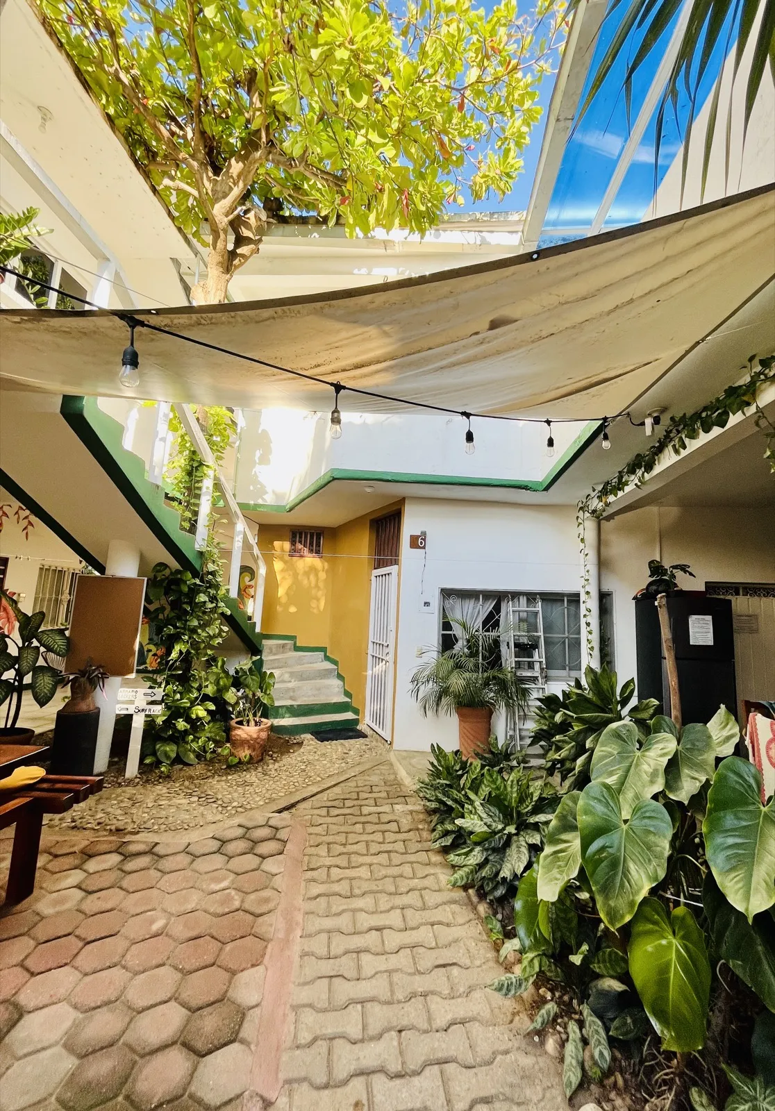 Patio sombreado de Palmar