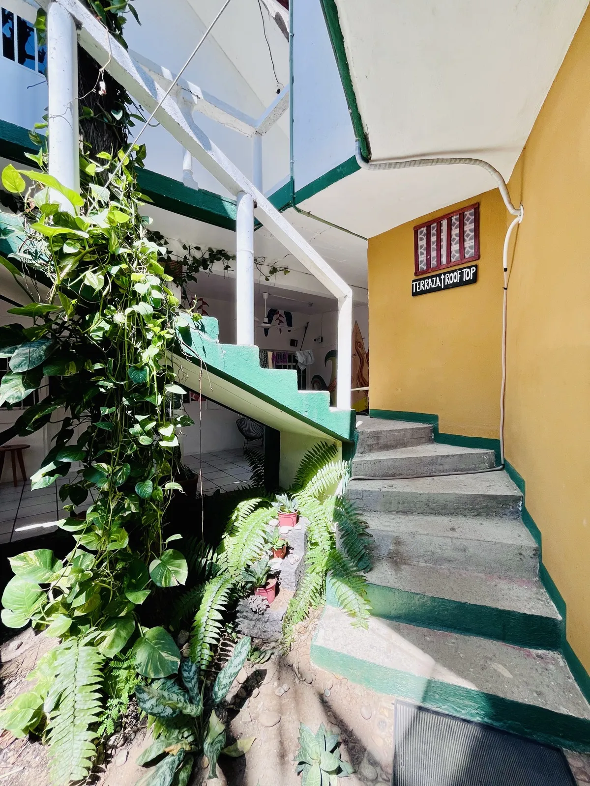 Escalera hacia la terraza de Palmar