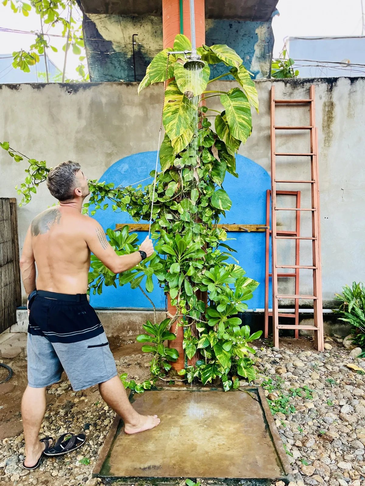 Regadera exterior entre plantas